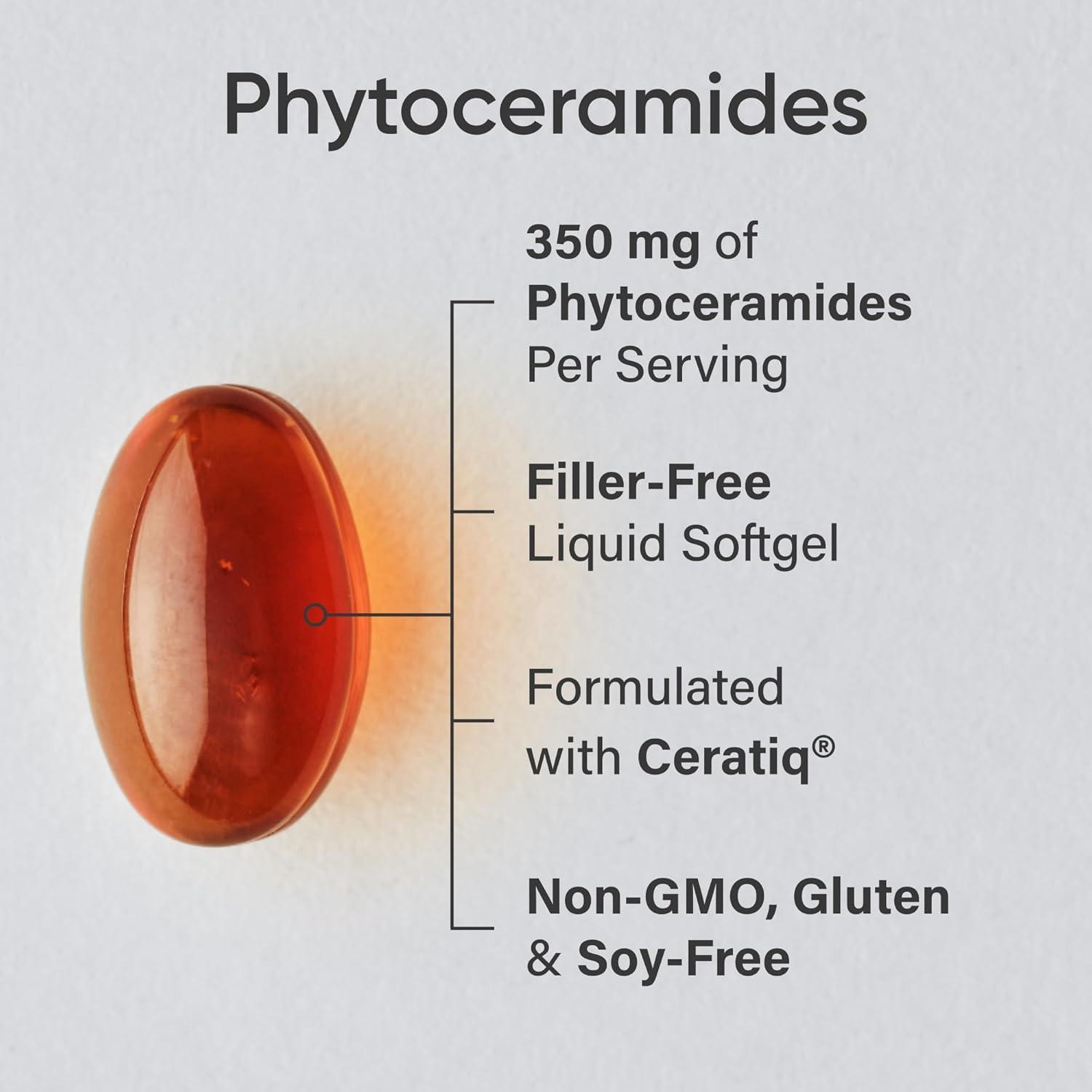 Phytoceramides 350mg Made with Clinically Proven Lipowheat® | Plant Derived and GMO Free with No Fillers or Synthetic Vitamins – 30 Liquid softgels(30 Count (Pack of 1))
