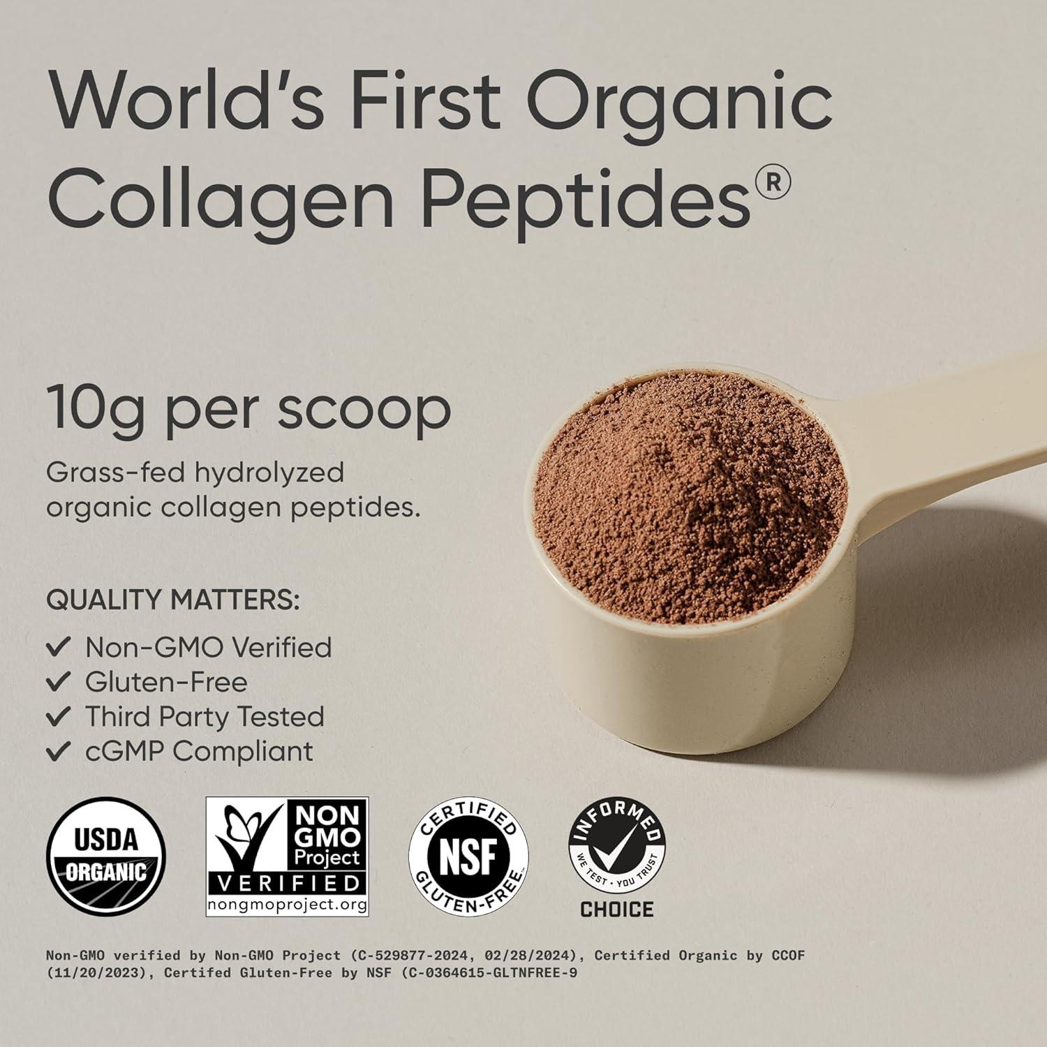 Sports Research Collagen Peptides – Hydrolyzed Type 1 & 3 Collagen Powder Protein Supplement for Healthy Skin, Nails, & Joints – Easy Mixing Vital Nutrients & Proteins, Collagen for Women & Men(Dark Chocolate)