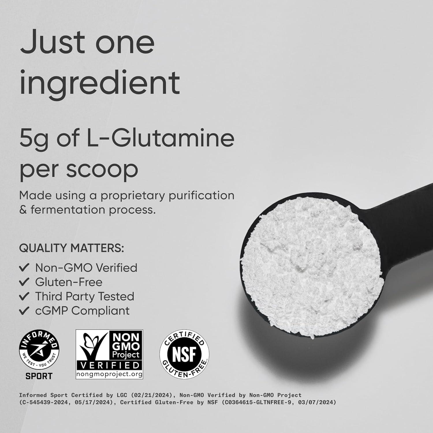 Sports Research L-Glutamine – Workout Recovery, Immune Health & Gut Health Support – 5 G Per Serving – 10.58 Oz(10.58 Ounce (Pack of 1))
