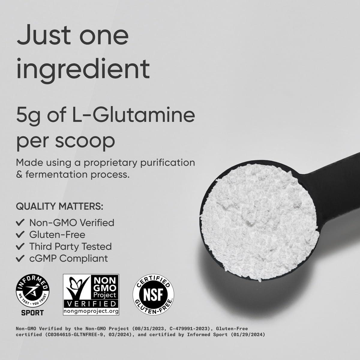 Sports Research L-Glutamine – Workout Recovery, Immune Health & Gut Health Support – 5 G Per Serving – 10.58 Oz(1.1 Pound (Pack of 1))